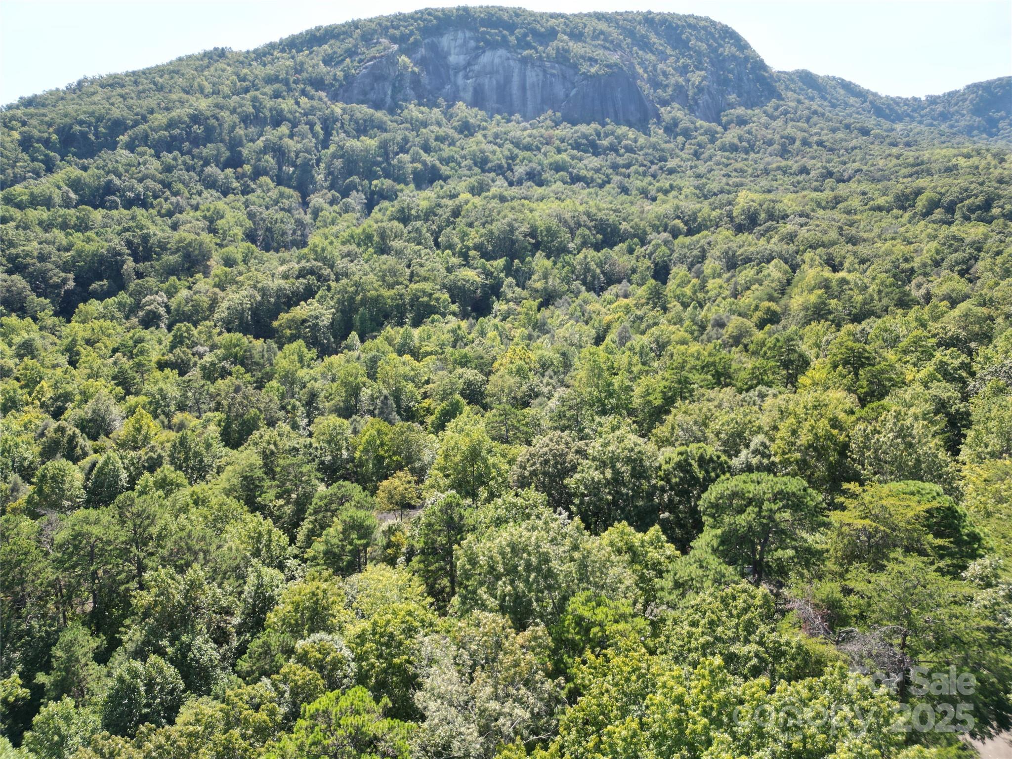 Lot 64 & 65 Walnut Lane Lake Lure NC 28746