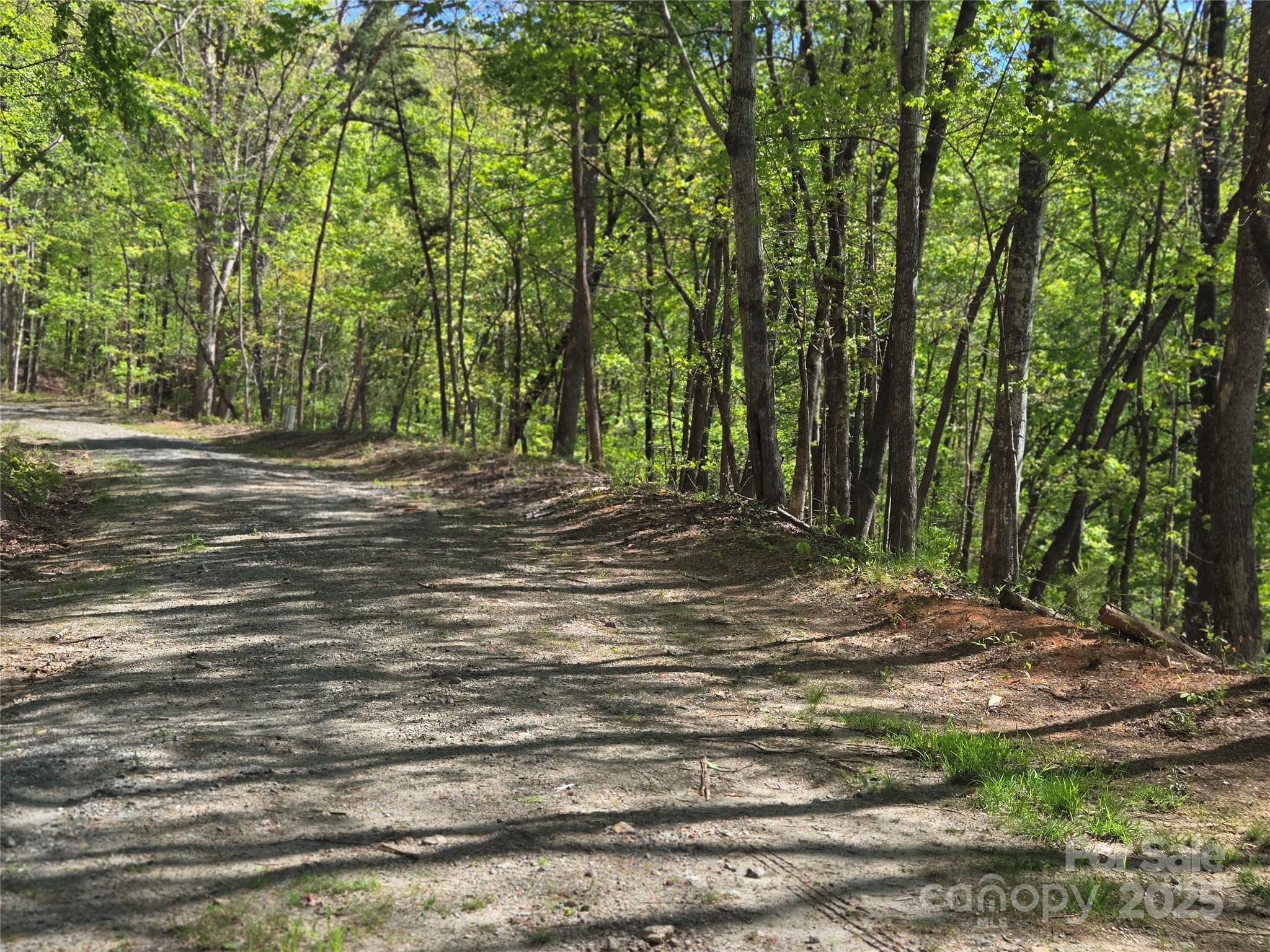 Lot 64 & 65 Walnut Lane Lake Lure NC 28746