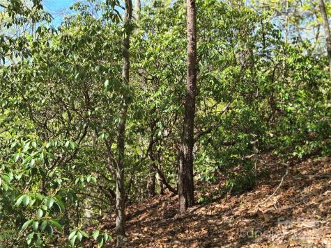 Lot 64 & 65 Walnut Lane Lake Lure NC 28746