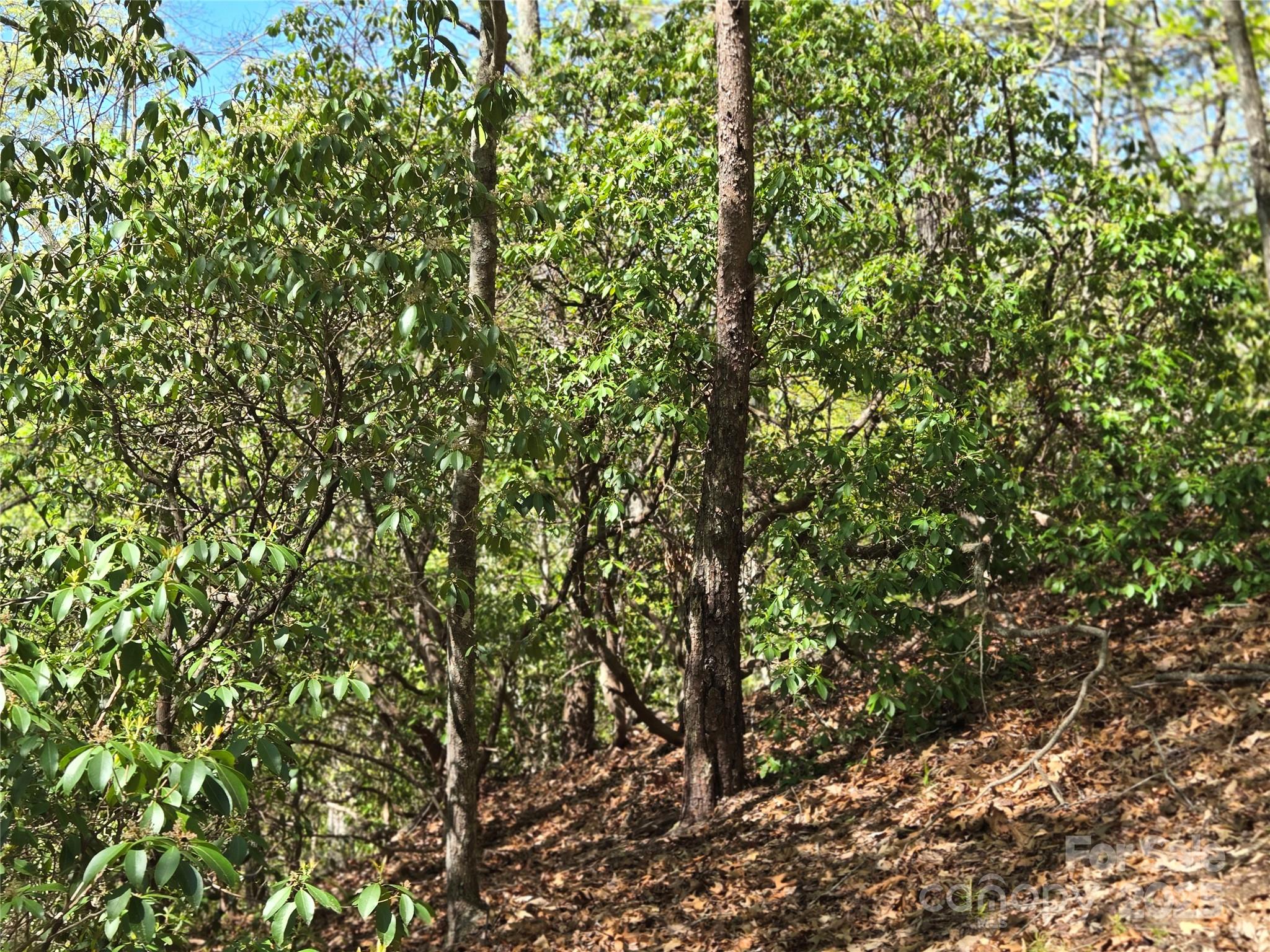 Lot 64 & 65 Walnut Lane Lake Lure NC 28746