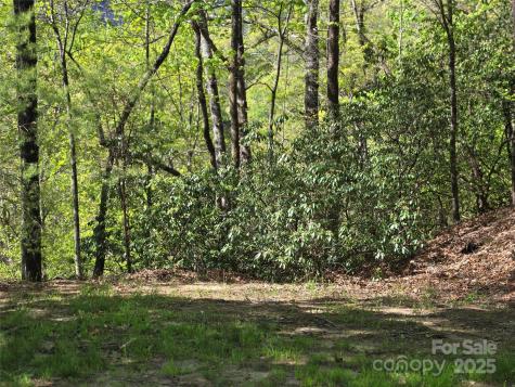 Lot 64 & 65 Walnut Lane Lake Lure NC 28746