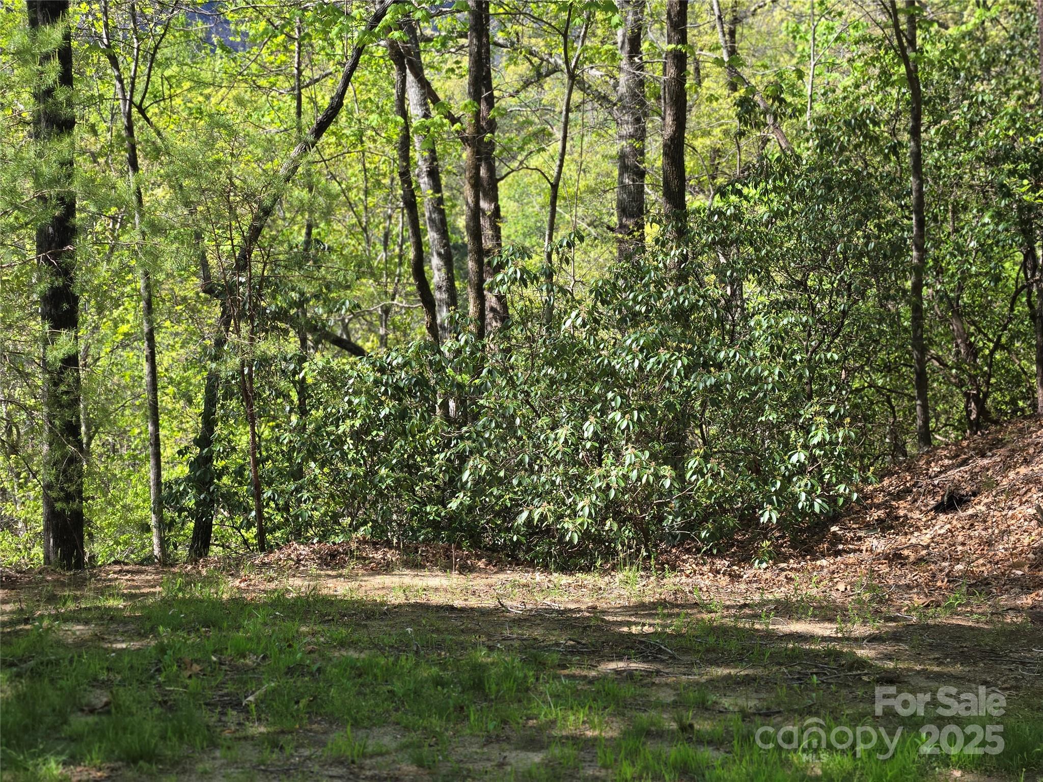 Lot 64 & 65 Walnut Lane Lake Lure NC 28746