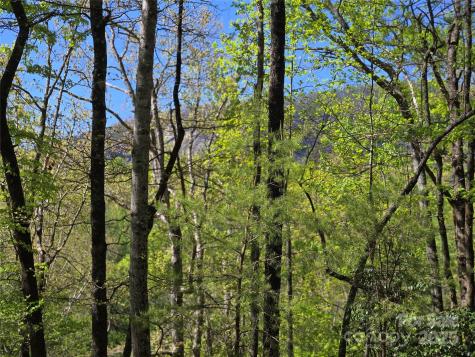 Lot 64 & 65 Walnut Lane Lake Lure NC 28746