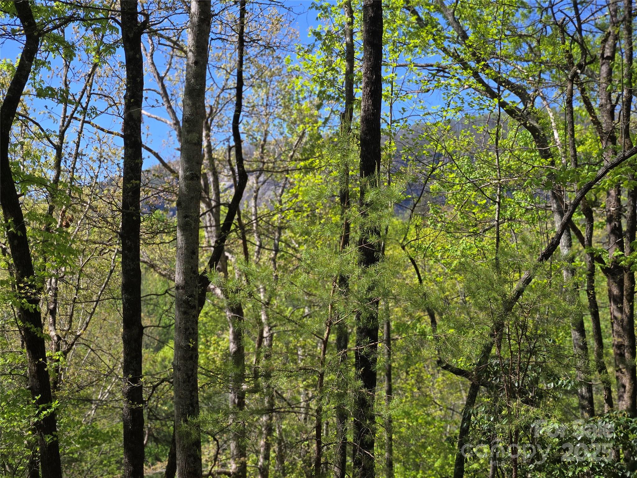 Lot 64 & 65 Walnut Lane Lake Lure NC 28746