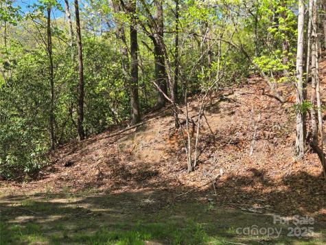 Lot 64 & 65 Walnut Lane Lake Lure NC 28746