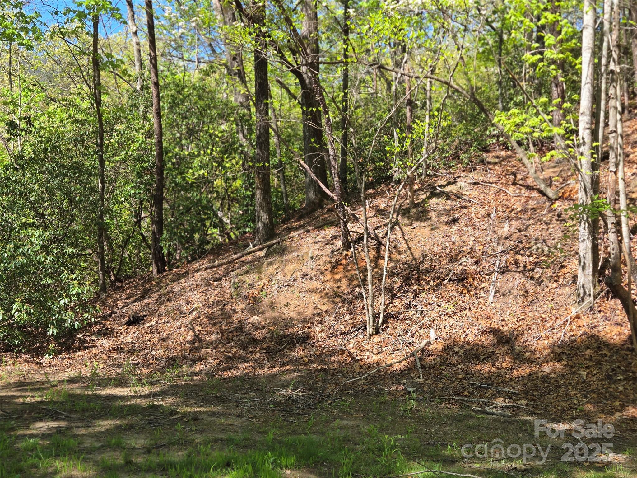 Lot 64 & 65 Walnut Lane Lake Lure NC 28746