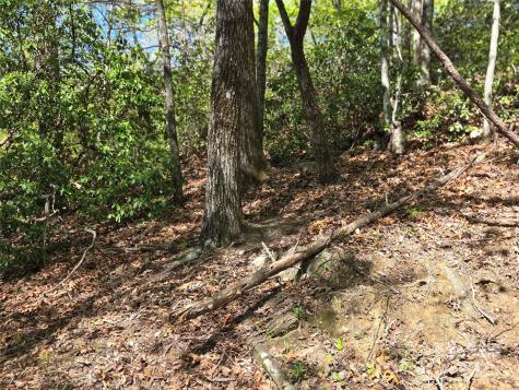 Lot 64 & 65 Walnut Lane Lake Lure NC 28746
