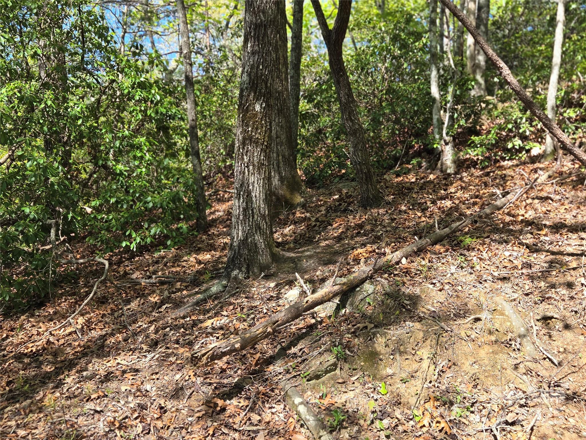 Lot 64 & 65 Walnut Lane Lake Lure NC 28746