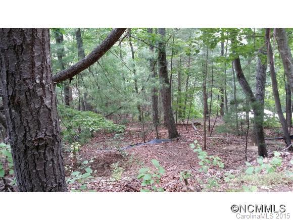 11 Woodhaven Place Asheville NC 28805