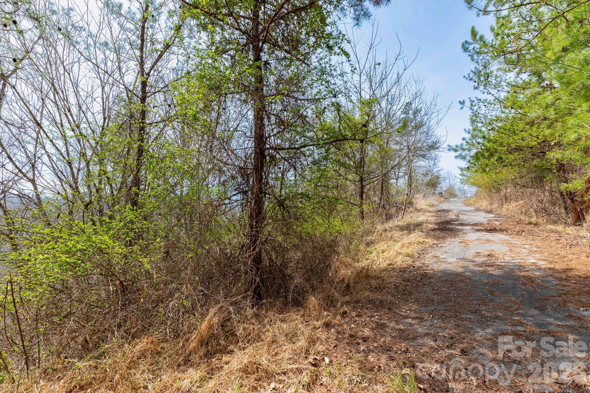 00 Crist View Drive Marshall NC 28753