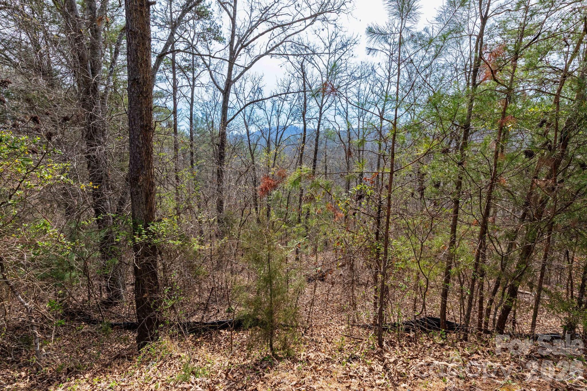 00 Crist View Drive Marshall NC 28753