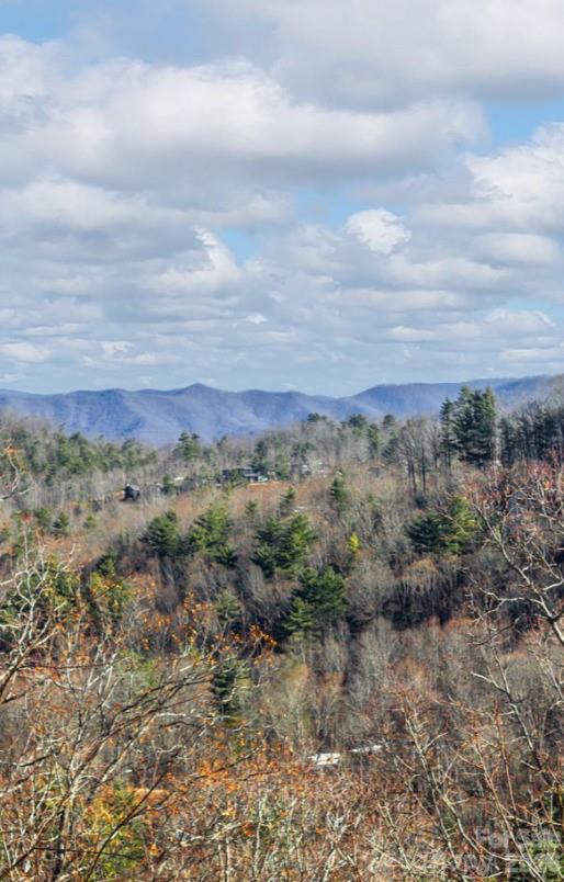 130 Summit Tower Circle Asheville NC 28804