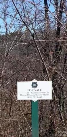 130 Summit Tower Circle Asheville NC 28804