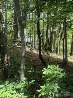 22 Signature Row Boulevard Waynesville NC 28785