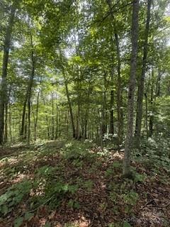 22 Signature Row Boulevard Waynesville NC 28785