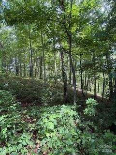22 Signature Row Boulevard Waynesville NC 28785