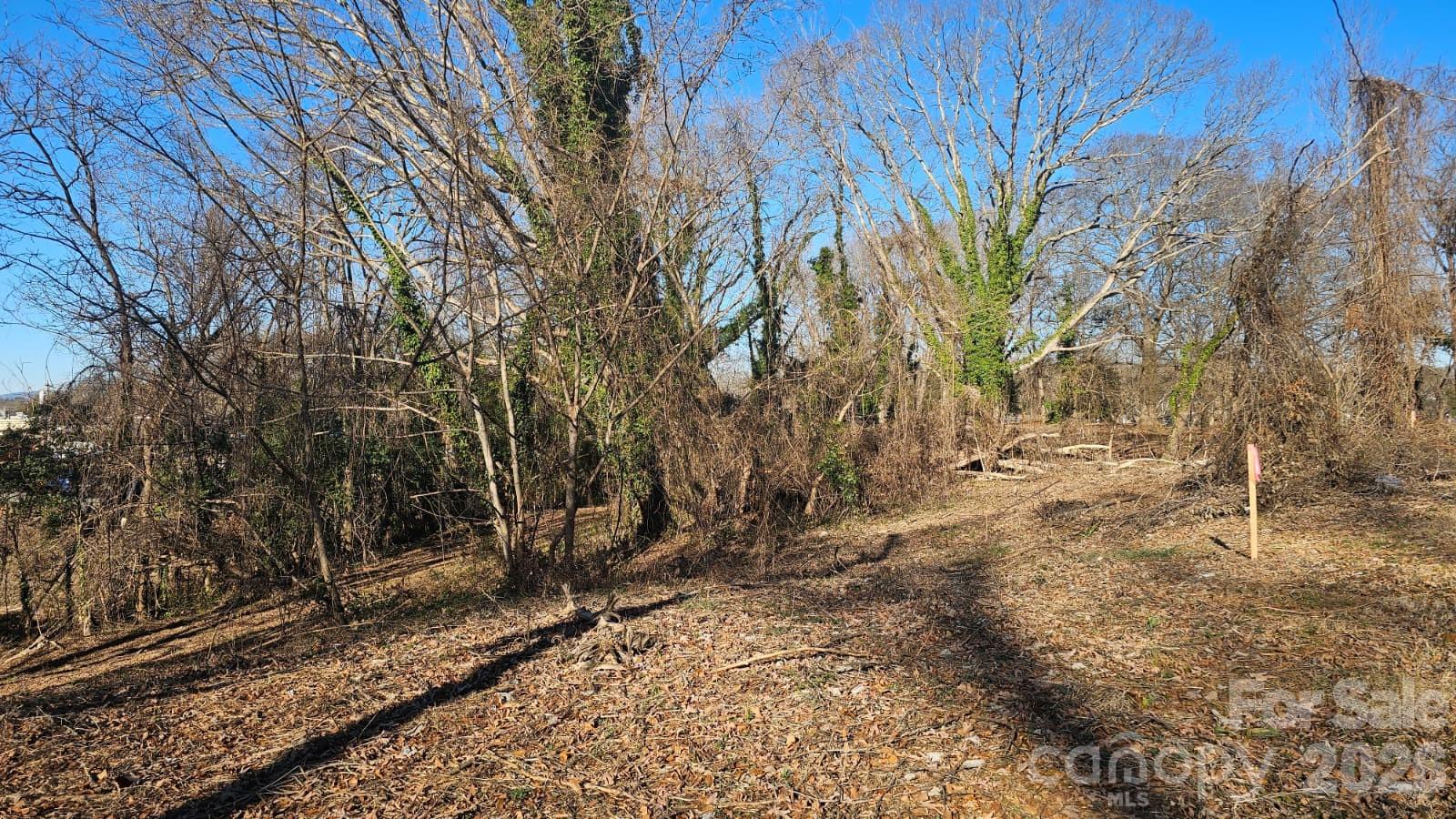 728 3rd Street Place SW Hickory NC 28602
