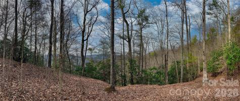 Lot 127 Bear River Lodge Trail Marshall NC 28753