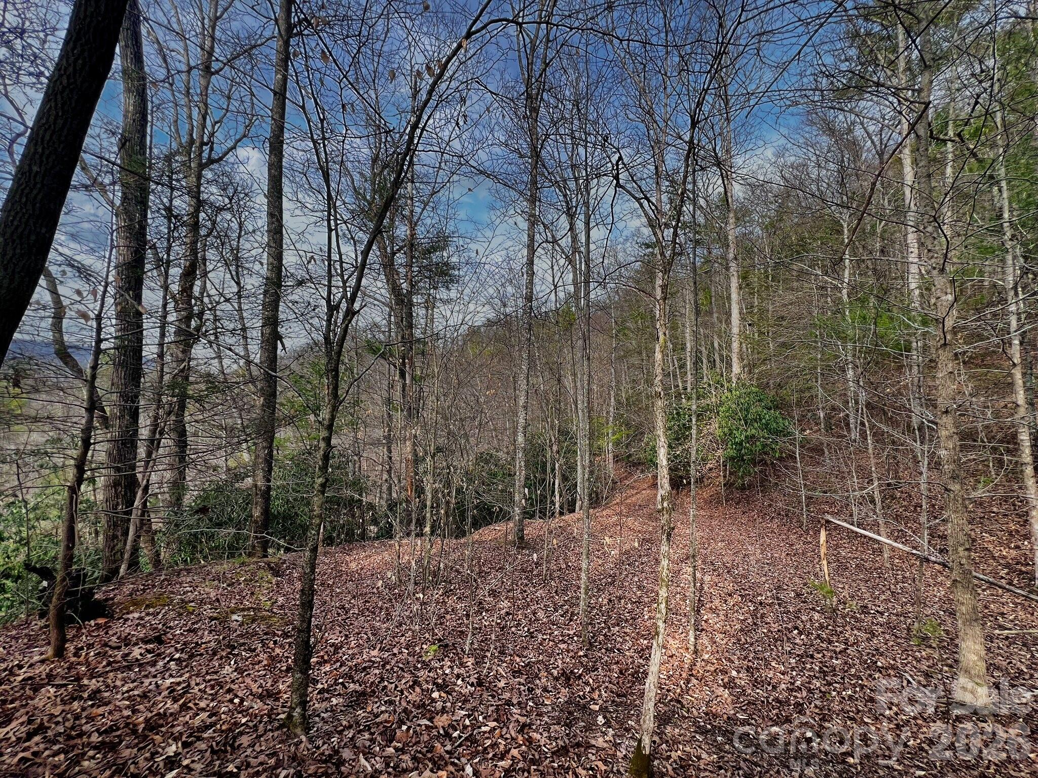 Lot 127 Bear River Lodge Trail Marshall NC 28753