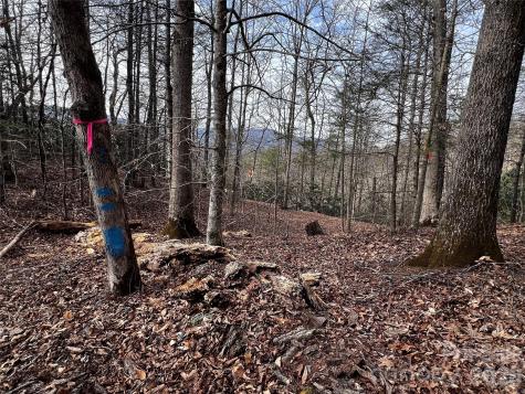 Lot 127 Bear River Lodge Trail Marshall NC 28753