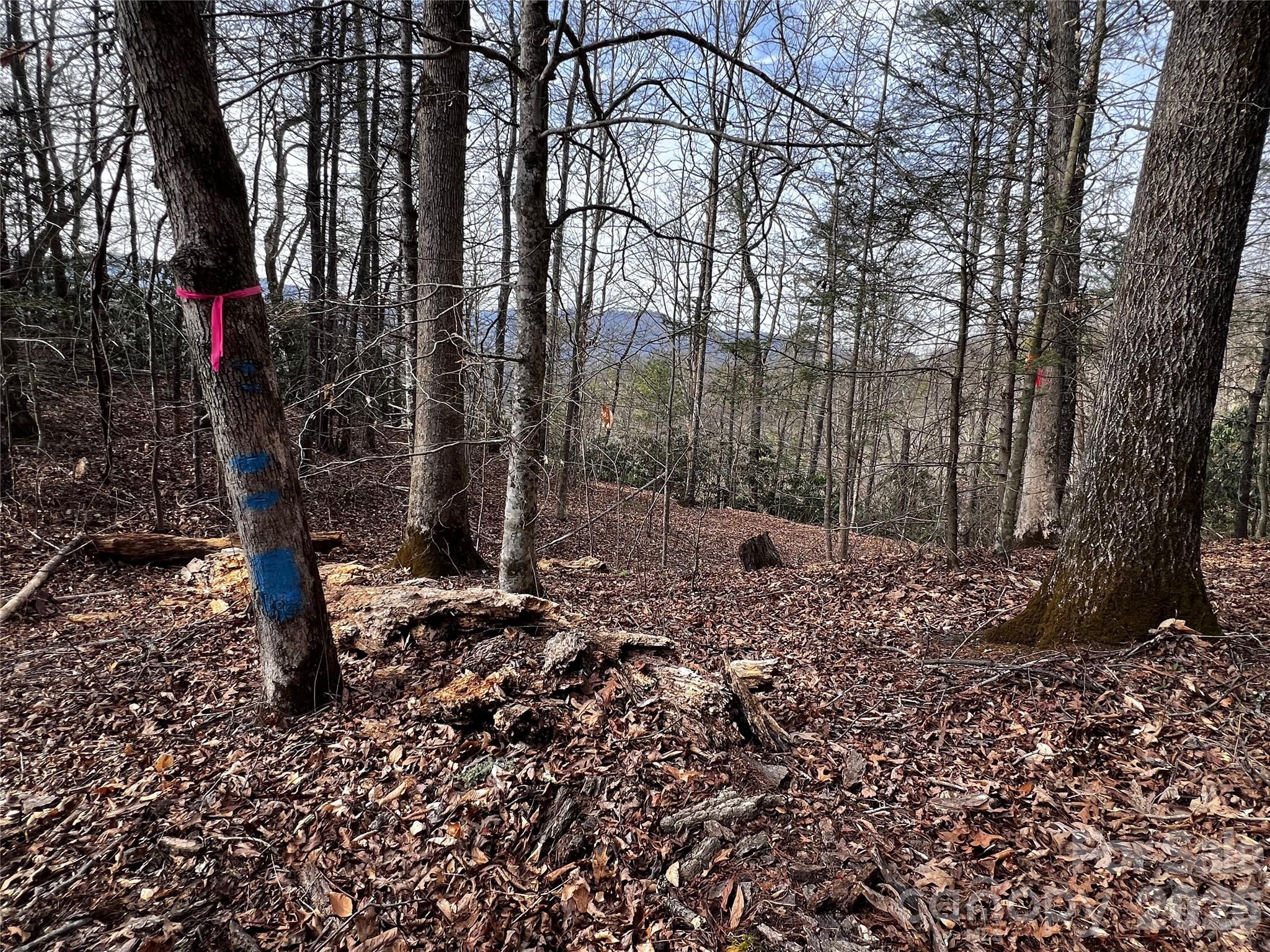 Lot 127 Bear River Lodge Trail Marshall NC 28753