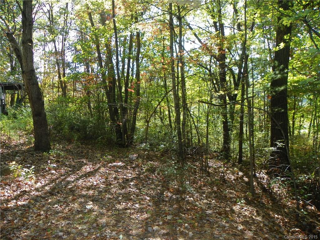 24 Thomas Lee Drive Asheville NC 28805