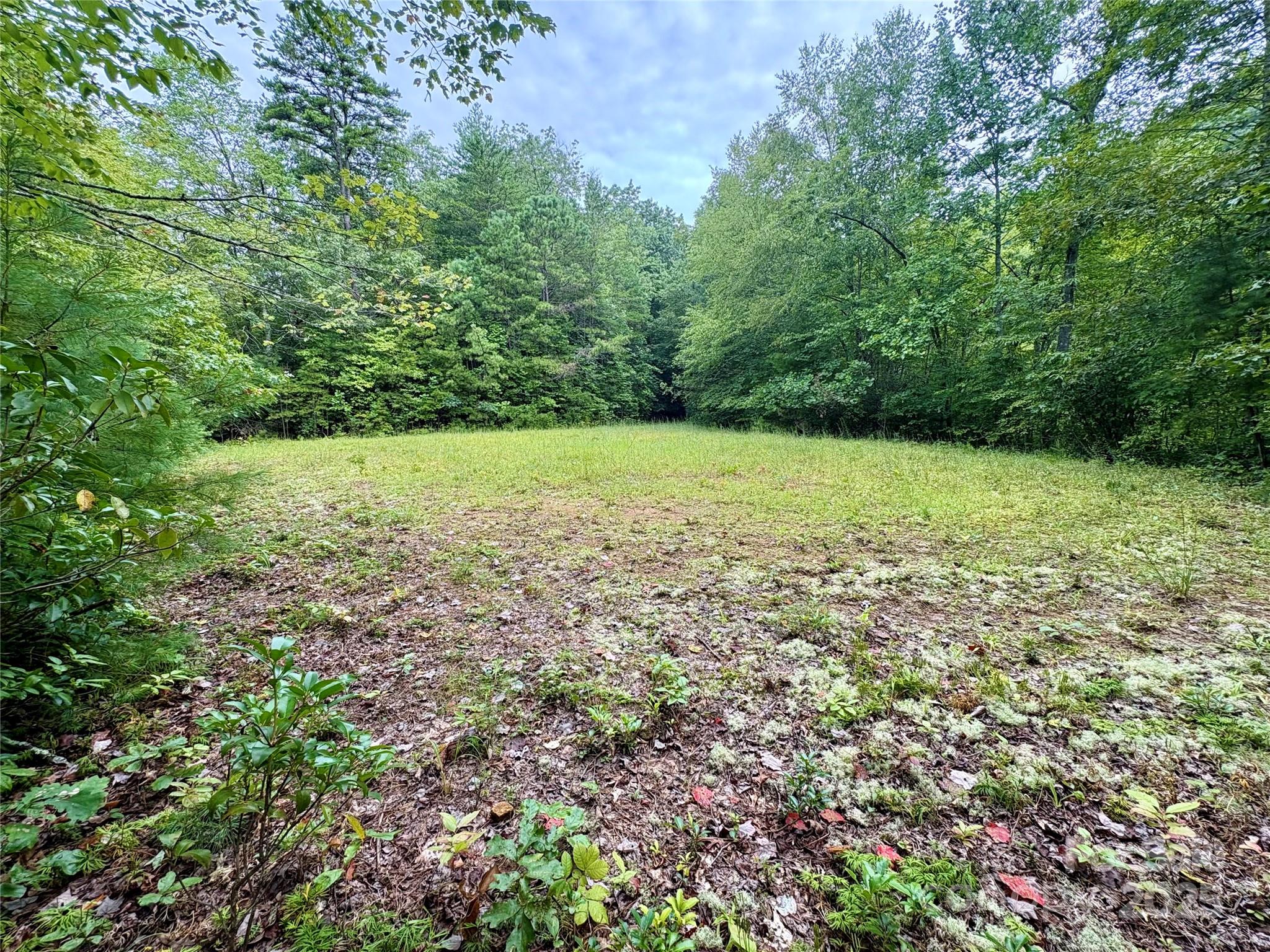 0 Chickadee Drive Bryson City NC 28713