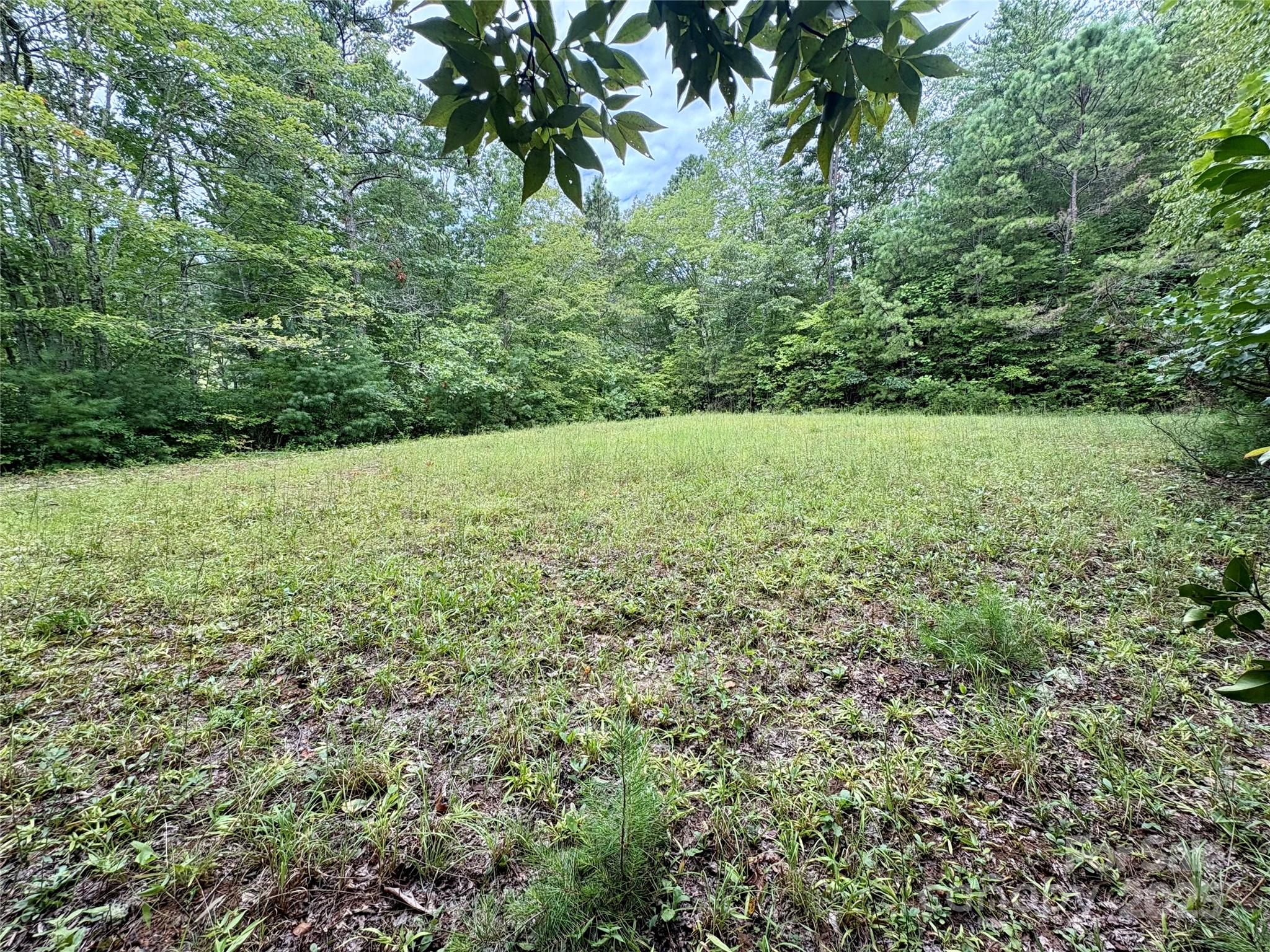 0 Chickadee Drive Bryson City NC 28713