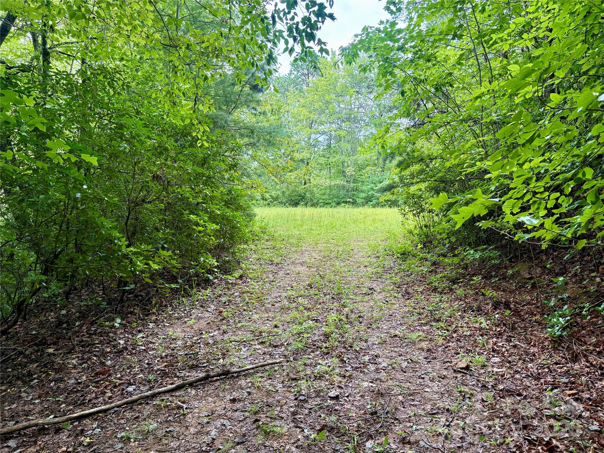 0 Chickadee Drive Bryson City NC 28713