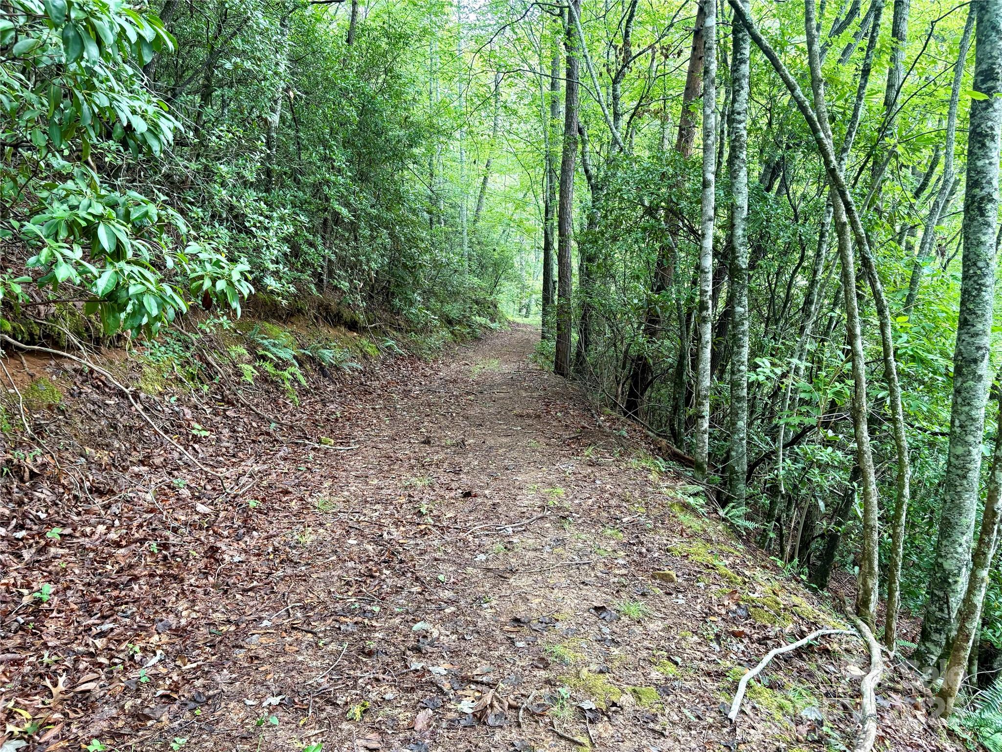 0 Chickadee Drive Bryson City NC 28713