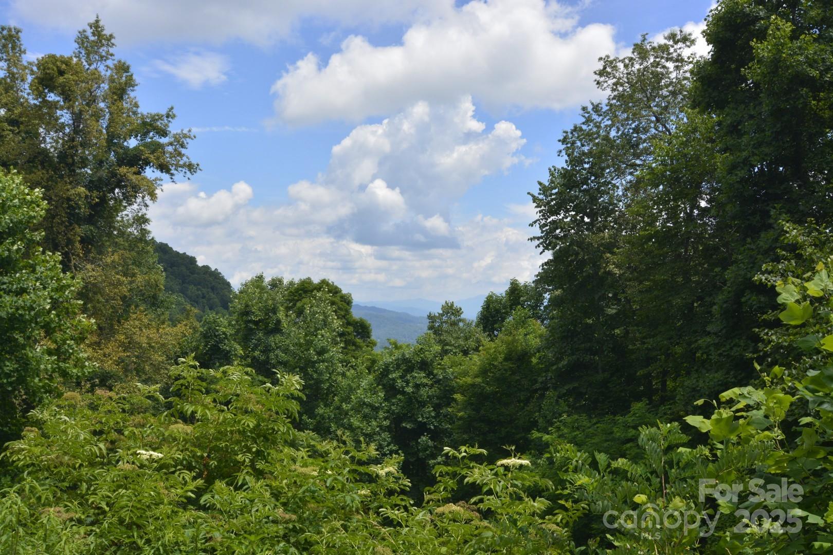 999 Red Wolf Run Mars Hill NC 28754