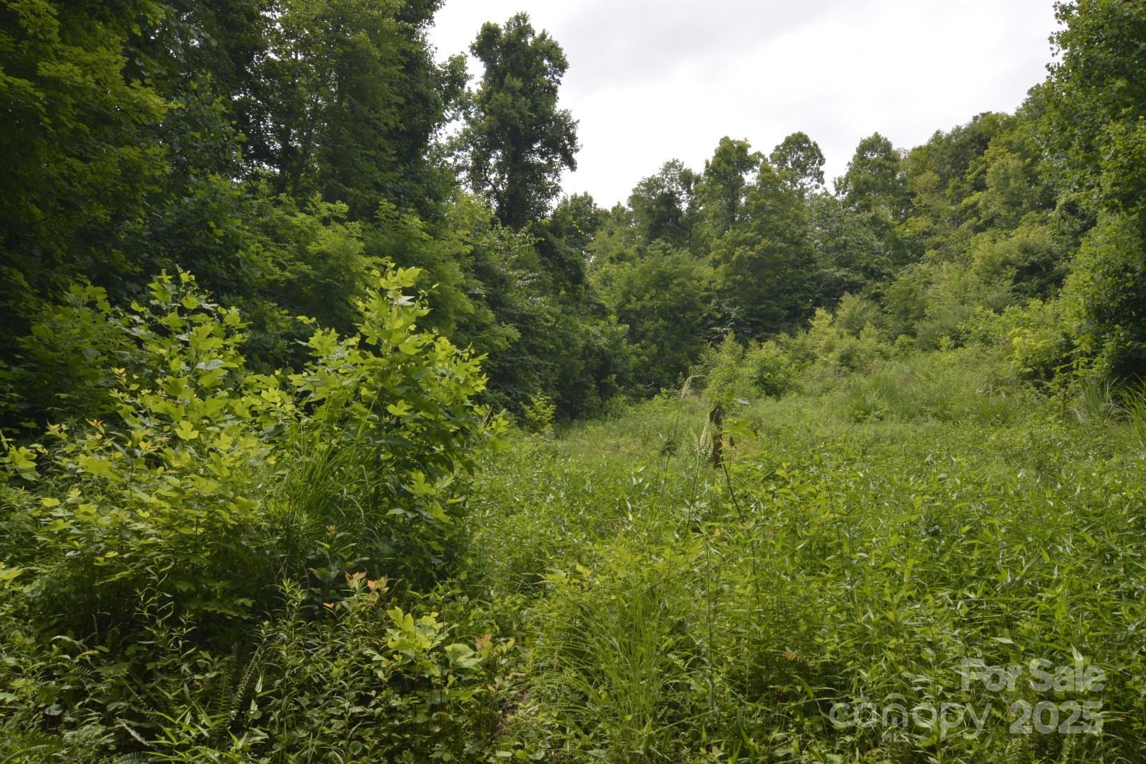 999 Red Wolf Run Mars Hill NC 28754