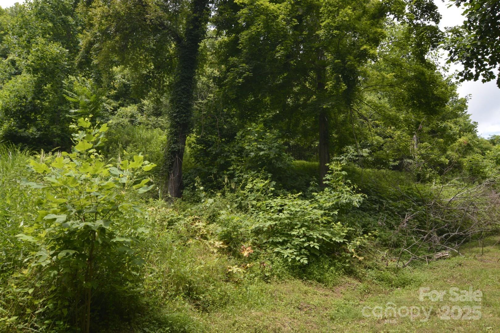 999 Red Wolf Run Mars Hill NC 28754