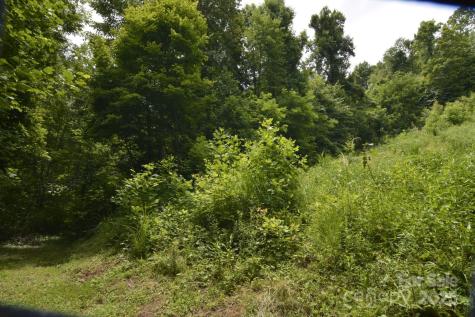 999 Red Wolf Run Mars Hill NC 28754