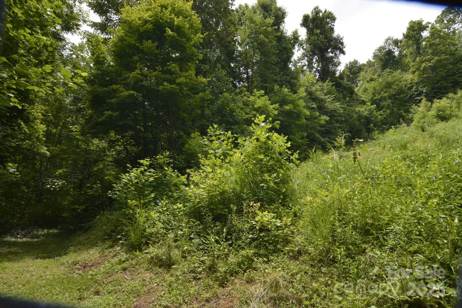999 Red Wolf Run Mars Hill NC 28754