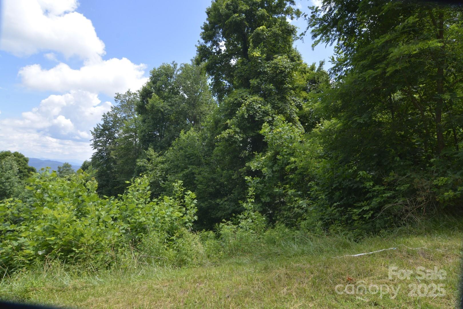 999 Red Wolf Run Mars Hill NC 28754