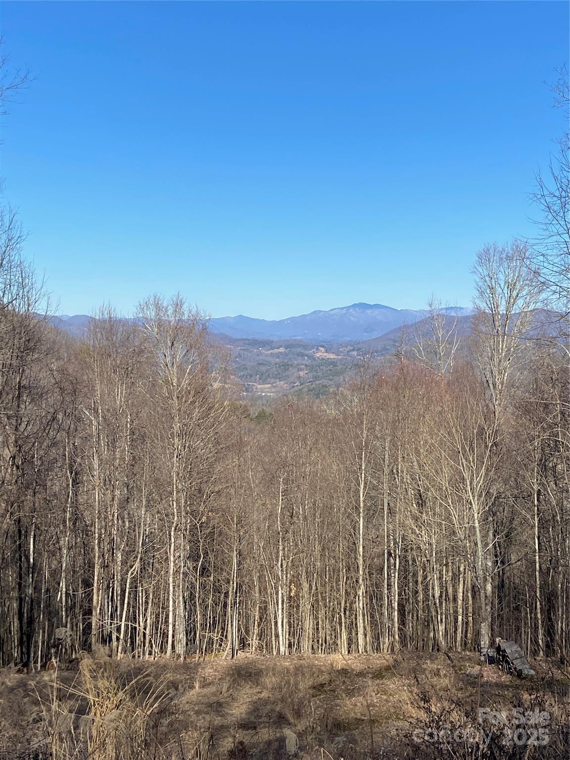 999 Red Wolf Run Mars Hill NC 28754