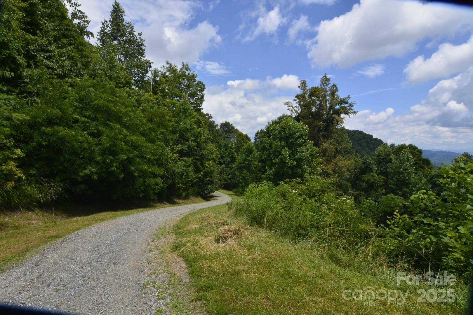 999 Red Wolf Run Mars Hill NC 28754
