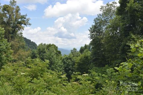 999 Red Wolf Run Mars Hill NC 28754