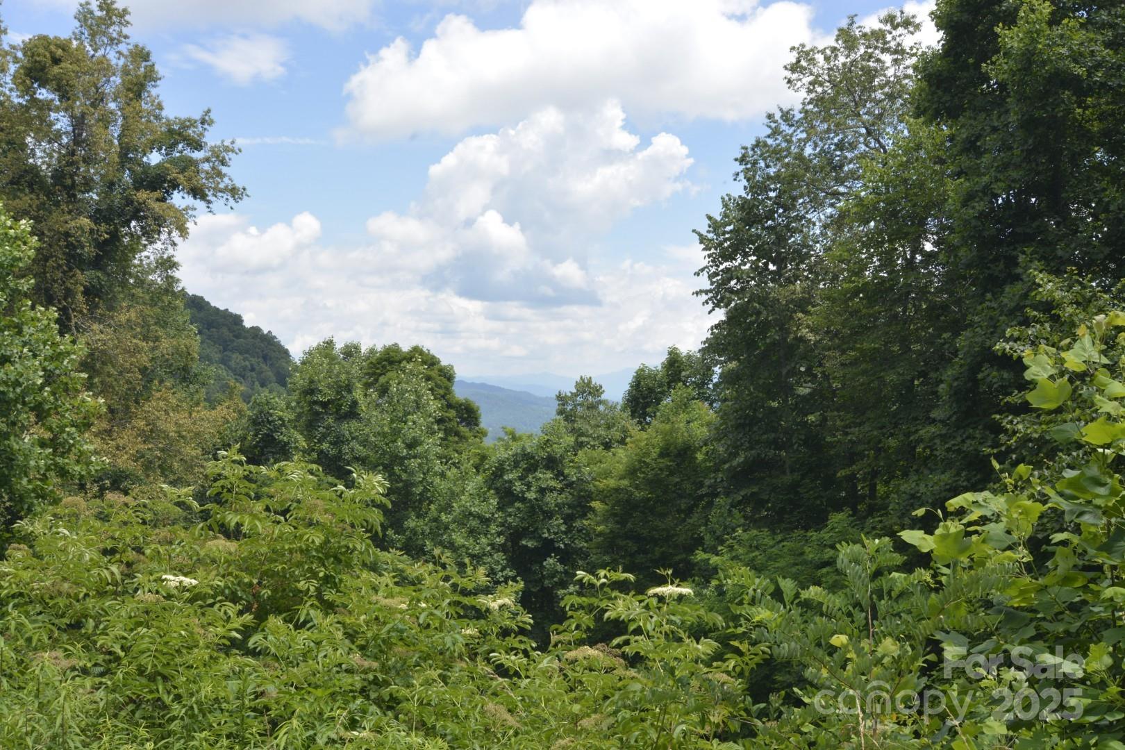 999 Red Wolf Run Mars Hill NC 28754
