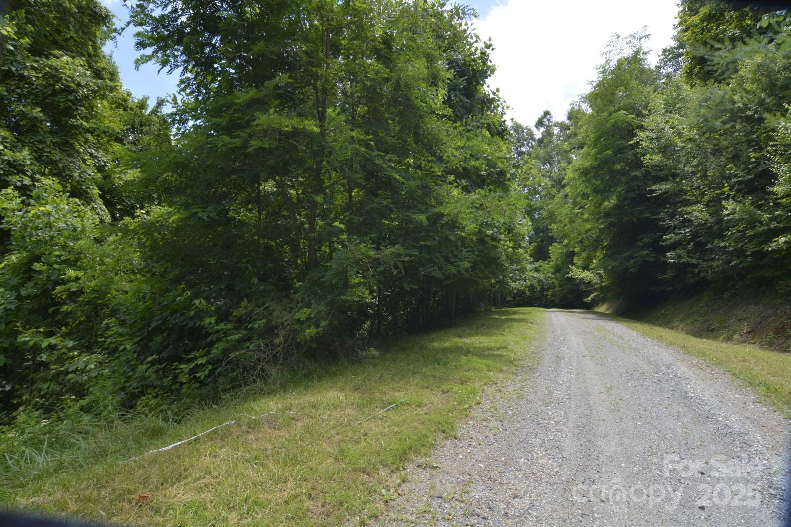 999 Red Wolf Run Mars Hill NC 28754
