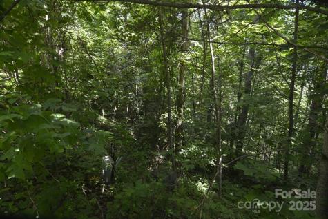 999 Red Wolf Run Mars Hill NC 28754
