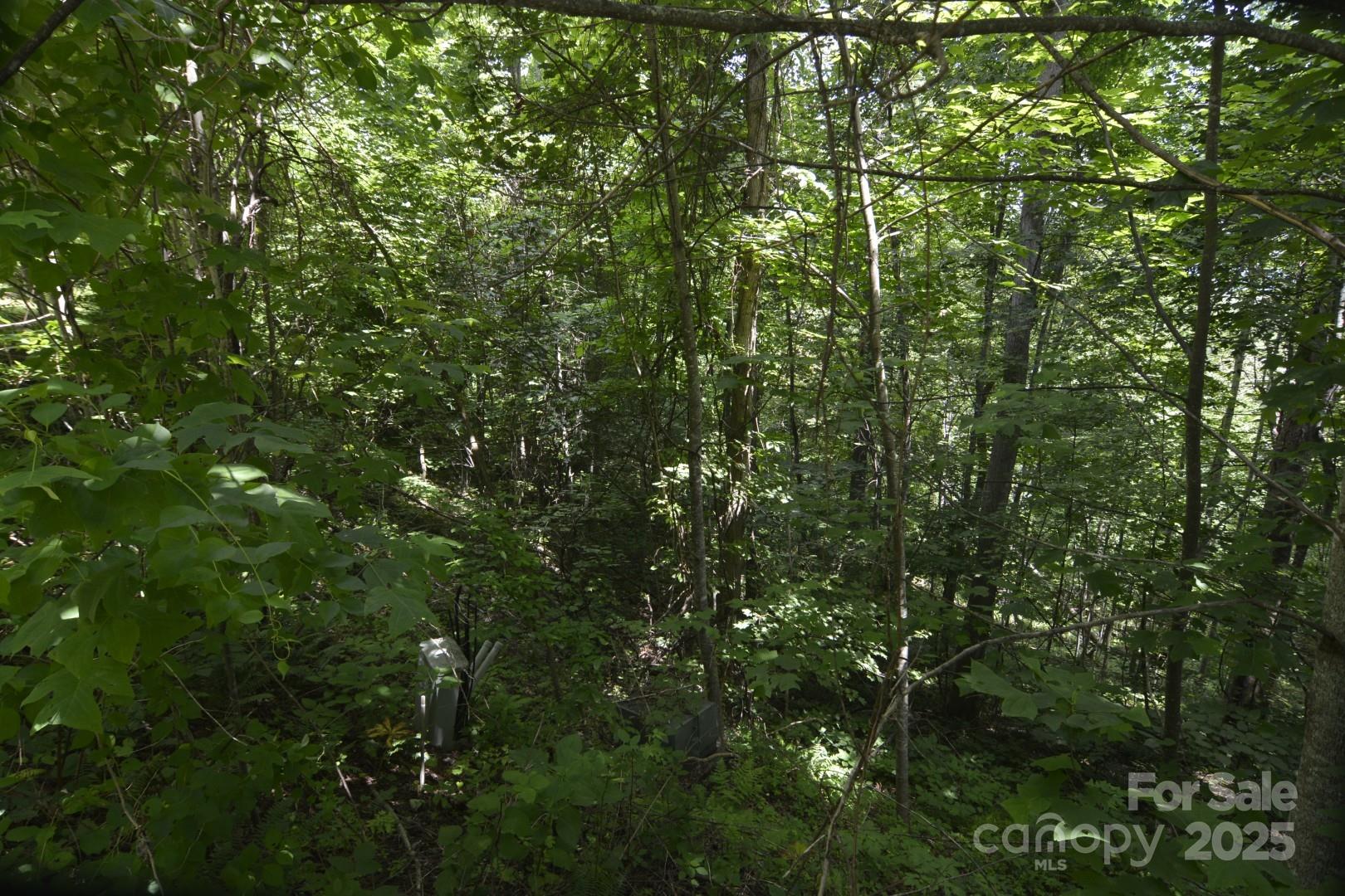 999 Red Wolf Run Mars Hill NC 28754