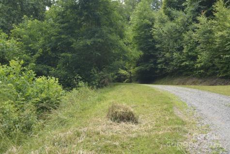 999 Red Wolf Run Mars Hill NC 28754