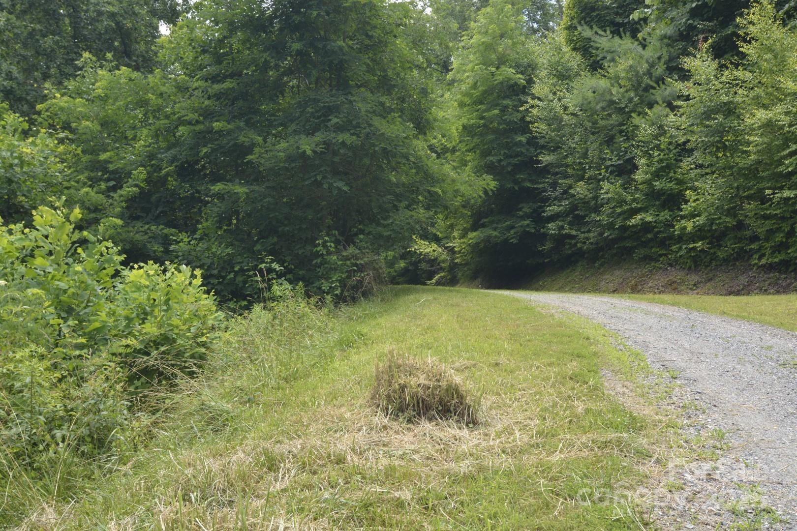 999 Red Wolf Run Mars Hill NC 28754