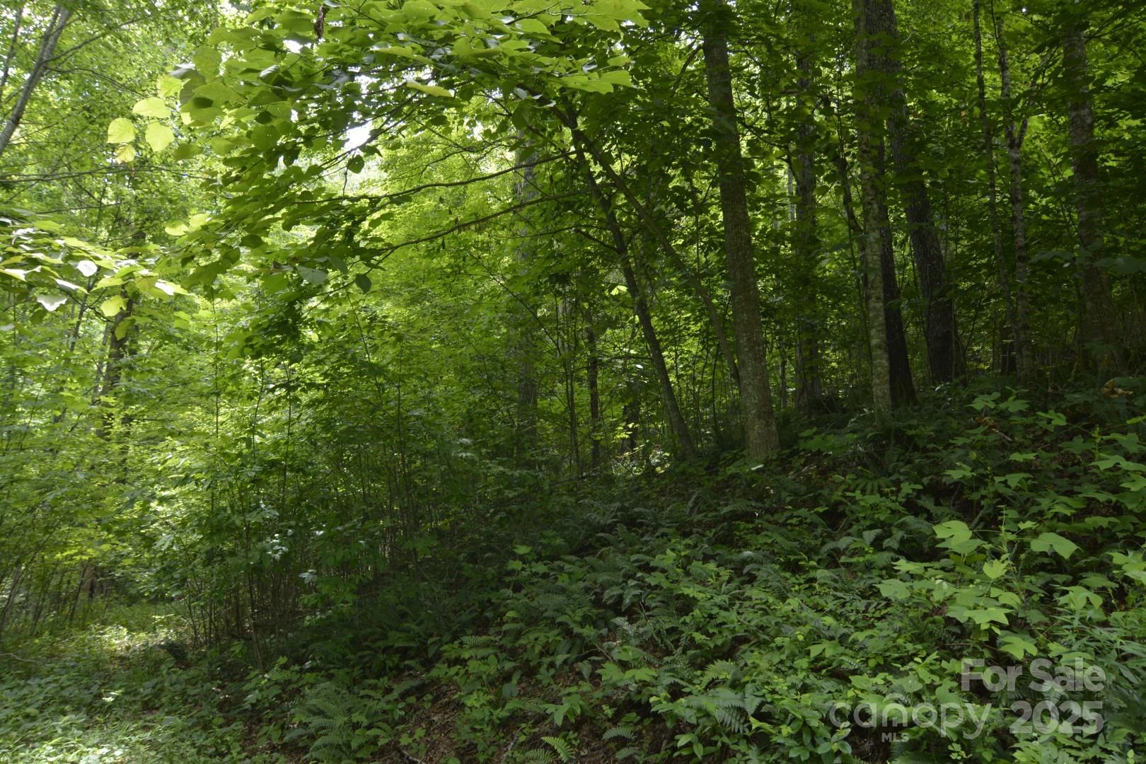 999 Red Wolf Run Mars Hill NC 28754