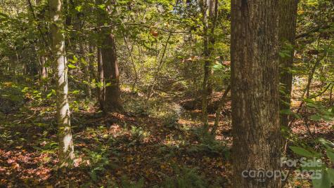 Tbd Us Highway 21 Highway Hamptonville NC 27020
