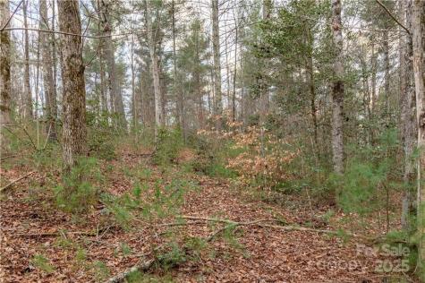 1209 Lakeside Way NW Valdese NC 28690