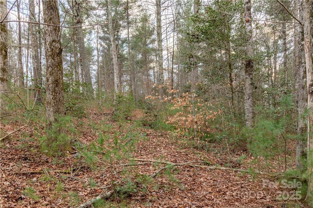 1209 Lakeside Way NW Valdese NC 28690