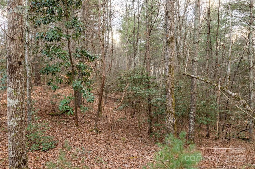 1209 Lakeside Way NW Valdese NC 28690